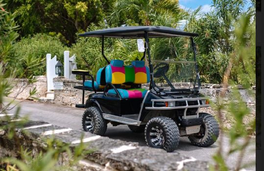 4 Seater Deluxe Golf Cart