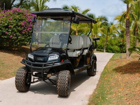 6 Seater Elite VIP Golf Cart